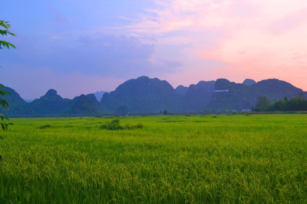 Jungle Boss Travel Lodge Phong Nha Kültér fotó